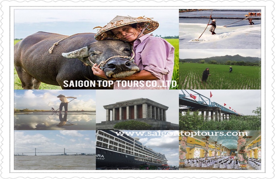 buffalo-vietnam-saigon-top-tours-jpg