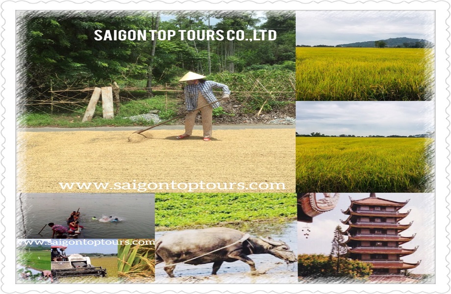 saigon-top-tours-vietnam-jpg