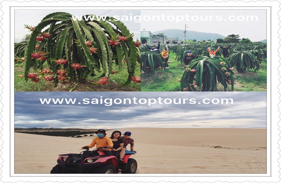 top-vietnam-mui-ne-sand-dunes-beach-tour-saigon-top-tours-jpg