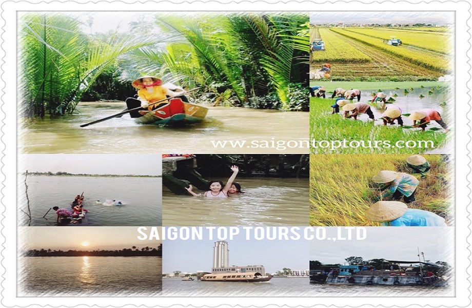 top-mekong-delta-tour-www.saigontoptours.com-jpg_2