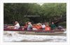 monkey-mangrove-tunnels-floating-market-tour-top-2-days-1-night-trip-from-saigon-city - ảnh nhỏ  1