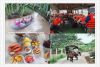 group-mekong-river-boat-tour-full-day-fruit-land-mekong-delta-trip - ảnh nhỏ  1